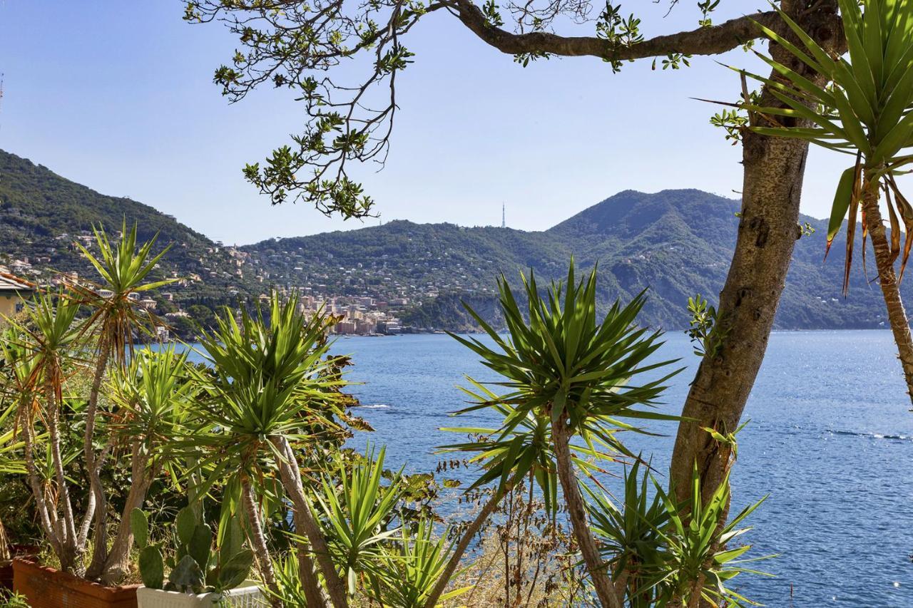 Yellow Sul Lungomare Di By Wonderful Italy * Recco